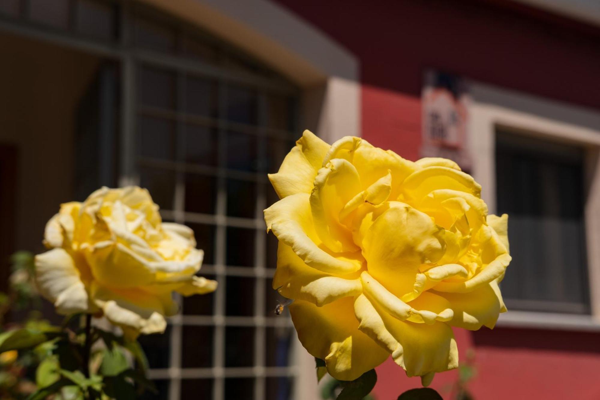 Casa Rural Rinconada La Rinconada de la Sierra Ngoại thất bức ảnh